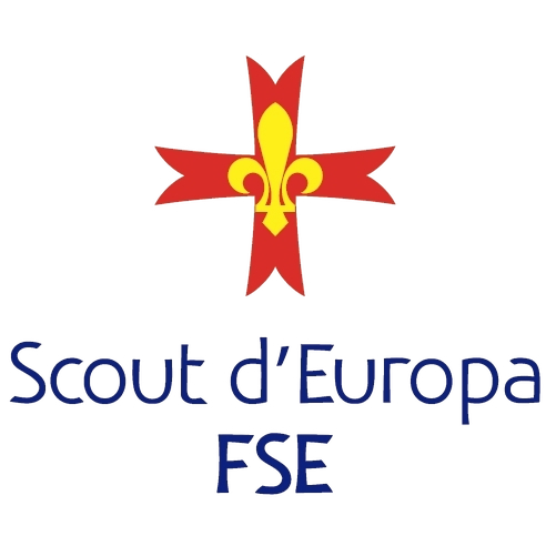 Logo FSE